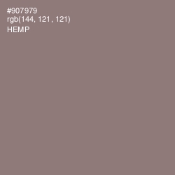 #907979 - Hemp Color Image