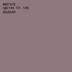 #90797E - Bazaar Color Image