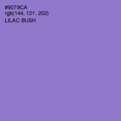 #9079CA - Lilac Bush Color Image