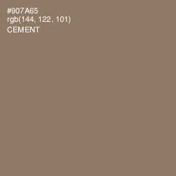 #907A65 - Cement Color Image