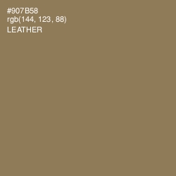 #907B58 - Leather Color Image