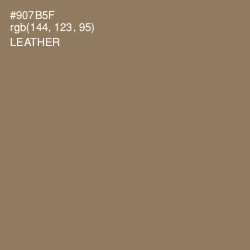 #907B5F - Leather Color Image