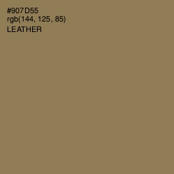 #907D55 - Leather Color Image