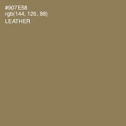 #907E58 - Leather Color Image