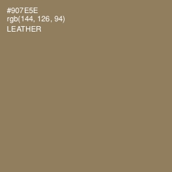 #907E5E - Leather Color Image