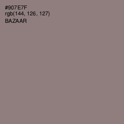 #907E7F - Bazaar Color Image