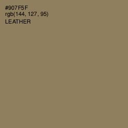 #907F5F - Leather Color Image