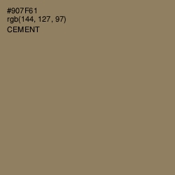 #907F61 - Cement Color Image