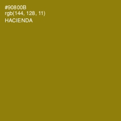 #90800B - Hacienda Color Image