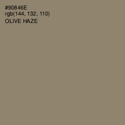 #90846E - Olive Haze Color Image