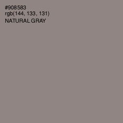 #908583 - Natural Gray Color Image