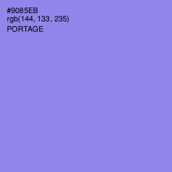 #9085EB - Portage Color Image