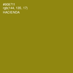 #908711 - Hacienda Color Image