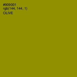 #909001 - Olive Color Image