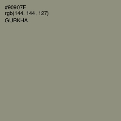 #90907F - Gurkha Color Image