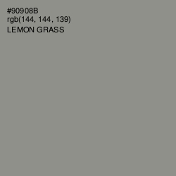 #90908B - Lemon Grass Color Image