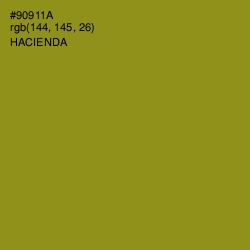 #90911A - Hacienda Color Image