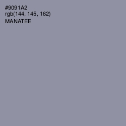 #9091A2 - Manatee Color Image