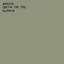 #90927E - Gurkha Color Image