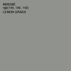 #90928E - Lemon Grass Color Image