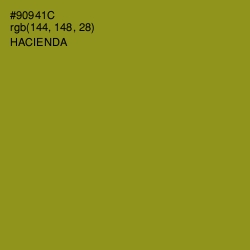 #90941C - Hacienda Color Image
