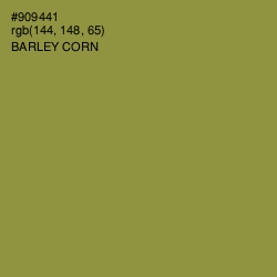 #909441 - Barley Corn Color Image