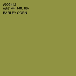 #909442 - Barley Corn Color Image