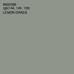 #90958B - Lemon Grass Color Image