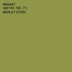 #909647 - Barley Corn Color Image