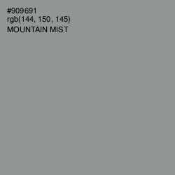 #909691 - Mountain Mist Color Image