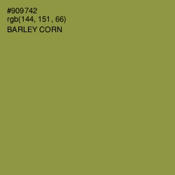 #909742 - Barley Corn Color Image