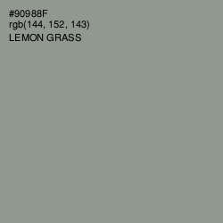 #90988F - Lemon Grass Color Image