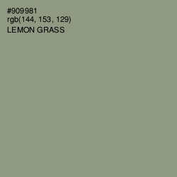 #909981 - Lemon Grass Color Image