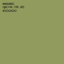 #909B5C - Avocado Color Image