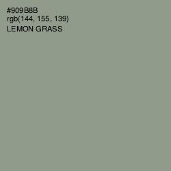 #909B8B - Lemon Grass Color Image