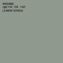 #909B8E - Lemon Grass Color Image