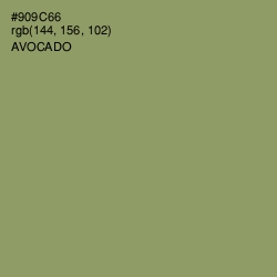 #909C66 - Avocado Color Image