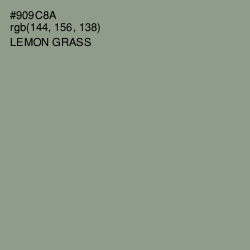 #909C8A - Lemon Grass Color Image