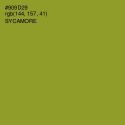 #909D29 - Sycamore Color Image