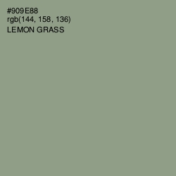 #909E88 - Lemon Grass Color Image