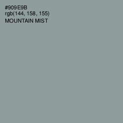 #909E9B - Mountain Mist Color Image