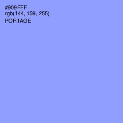 #909FFF - Portage Color Image