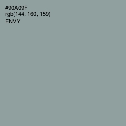 #90A09F - Envy Color Image