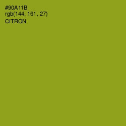 #90A11B - Citron Color Image