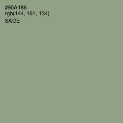 #90A186 - Sage Color Image