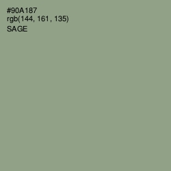 #90A187 - Sage Color Image