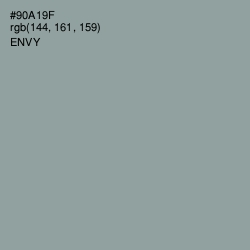 #90A19F - Envy Color Image