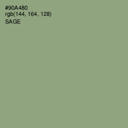 #90A480 - Sage Color Image