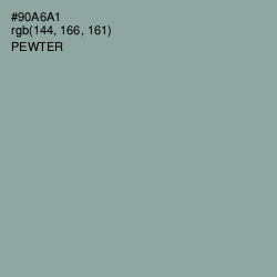 #90A6A1 - Pewter Color Image