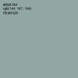 #90A7A4 - Pewter Color Image